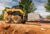 Cat® 242D3 Skid Steer Loader