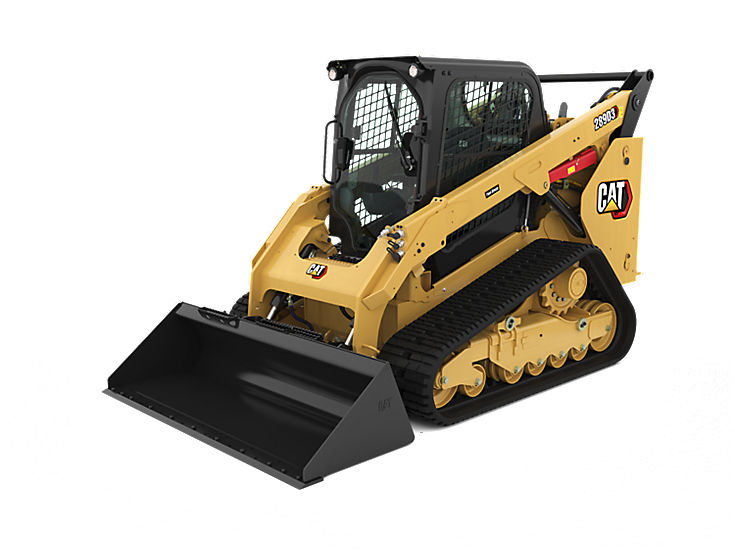 Skid Steer and Compact Track Loaders - 289D3
