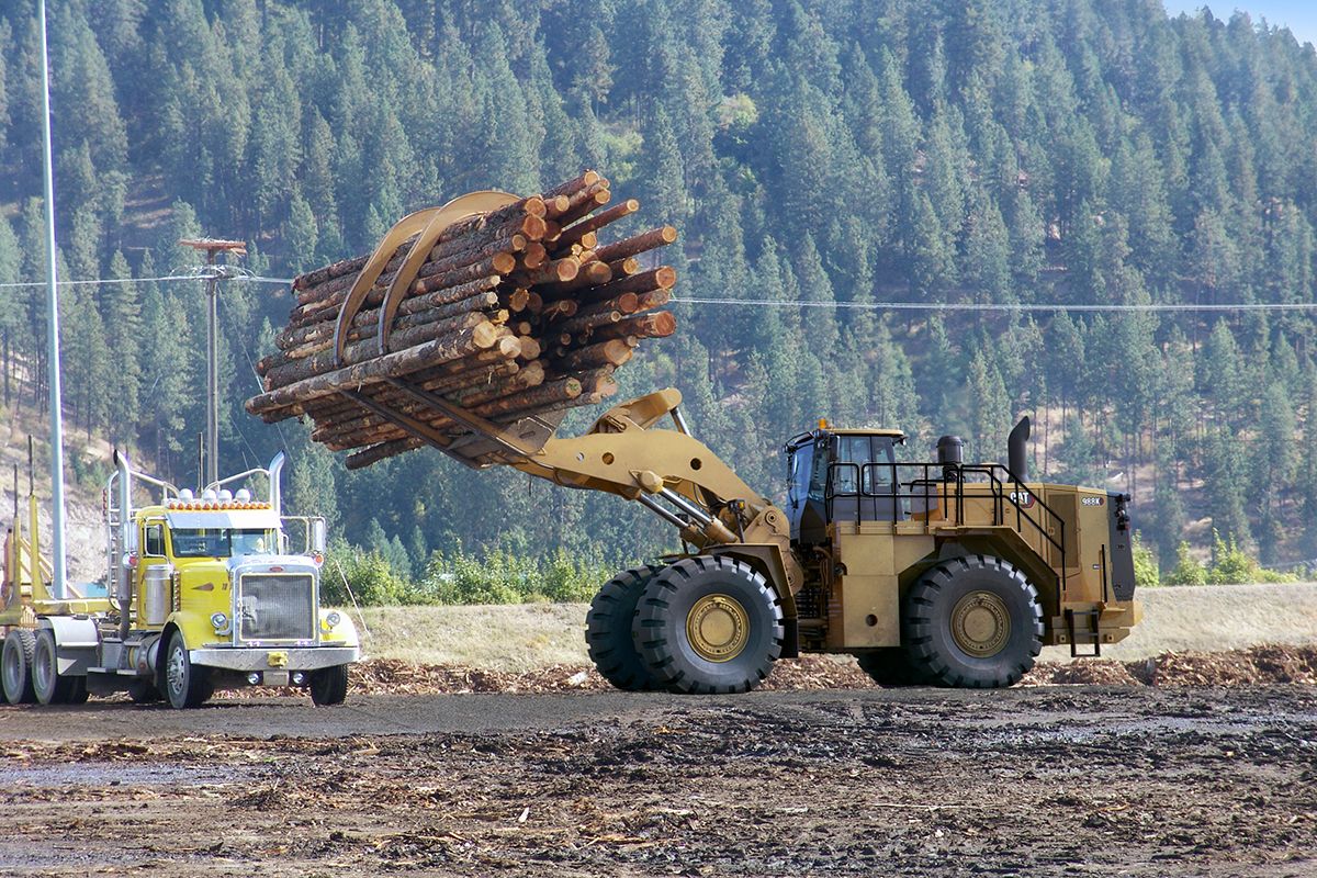 caterpillar logging equipment