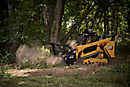 Compact Track Loaders 299D3 XE Land Management
