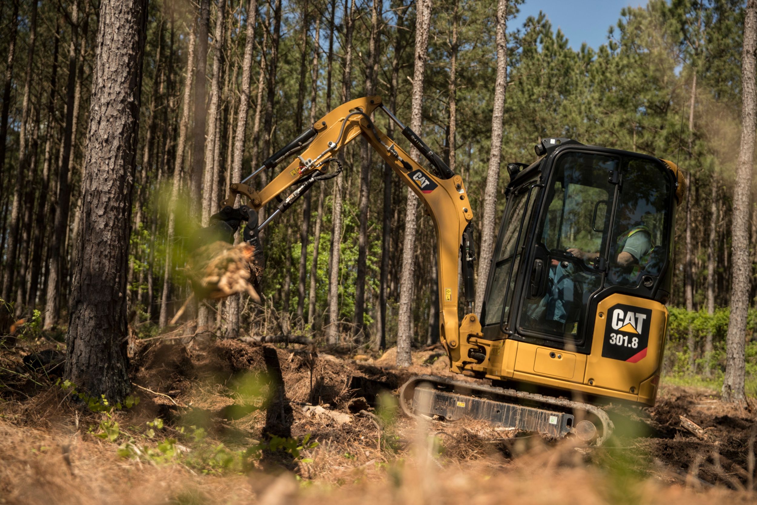 New Cat 301.8 Mini Hydraulic Excavator For Sale In OK & TX | Warren CAT