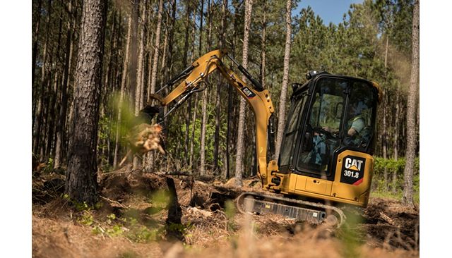 301.8 Mini Excavator