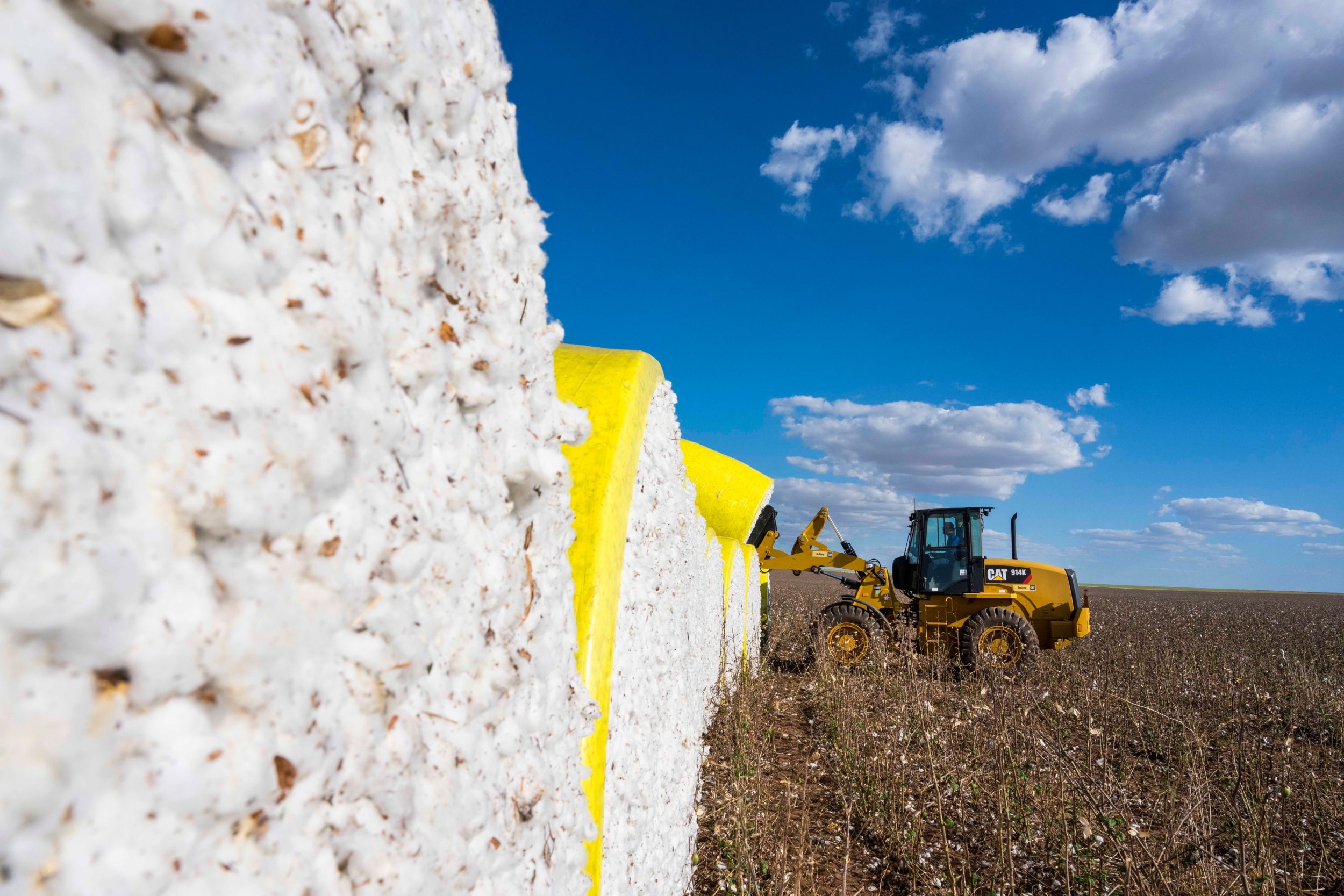 Caterpillar - Abrindo caminho para o agronegócio