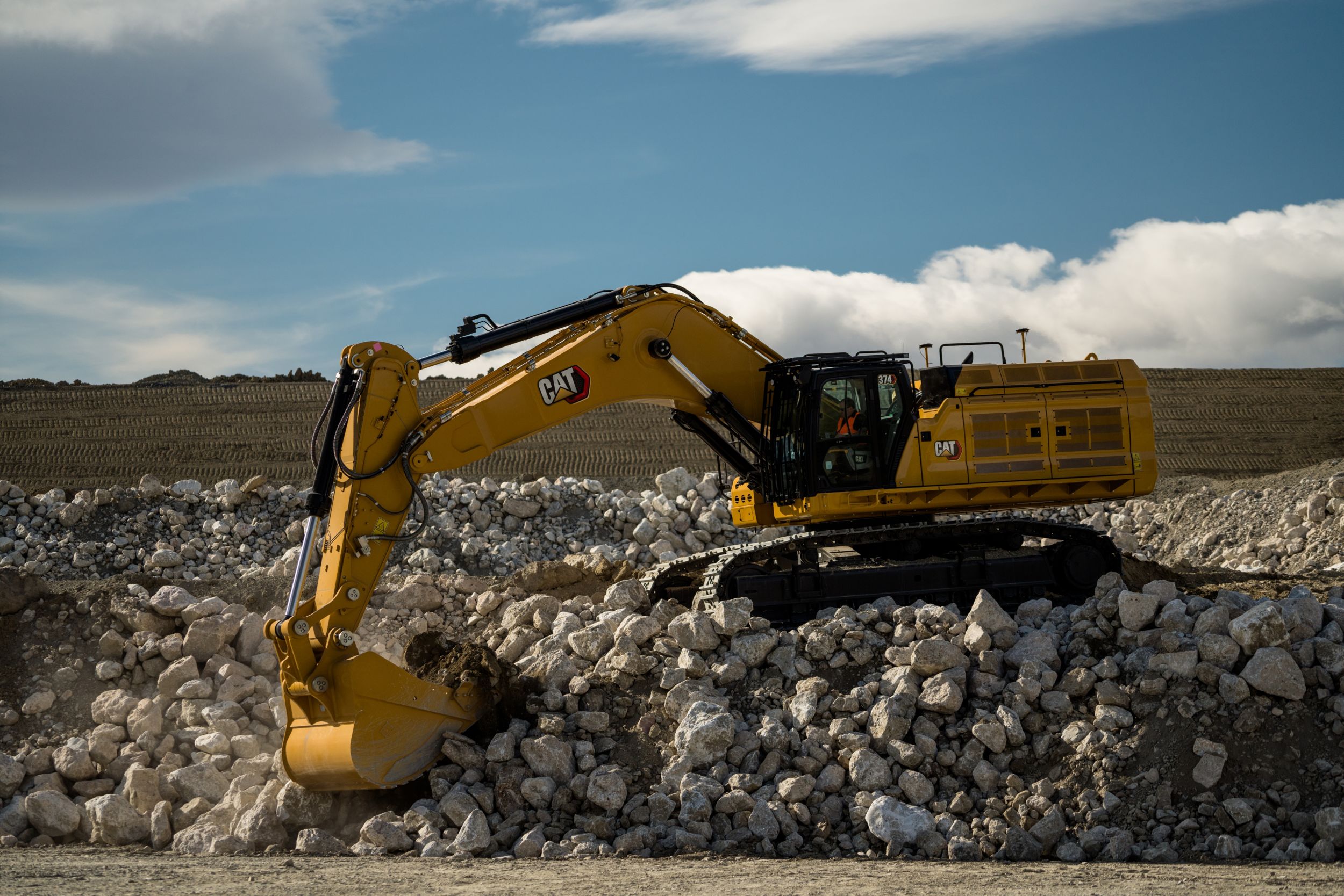 rolly digger cat