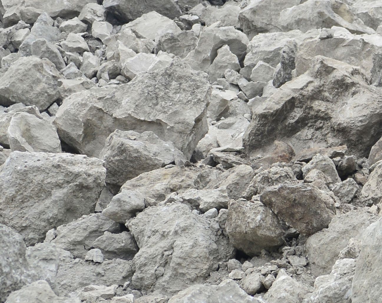 可靠性和耐用性