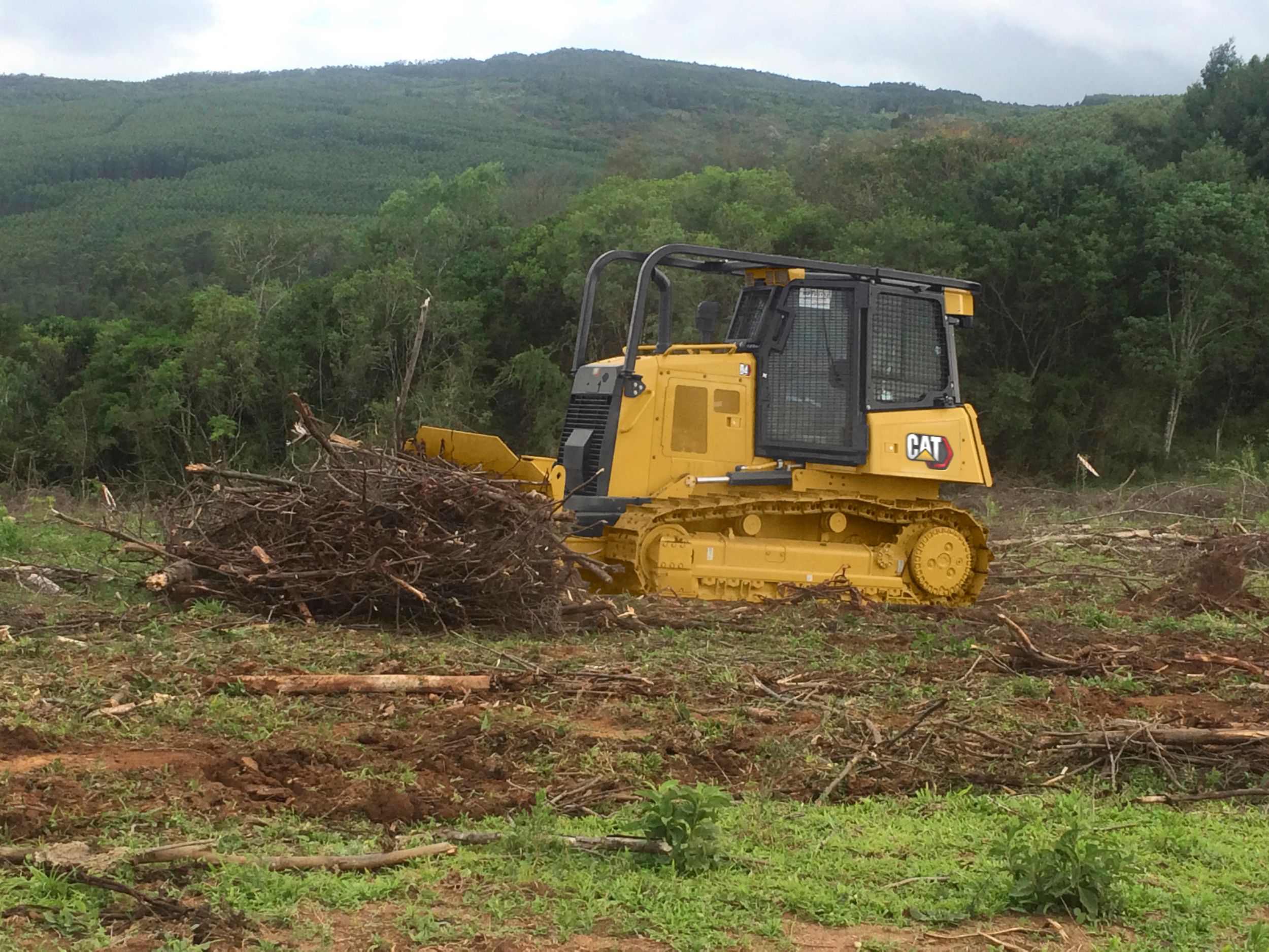 جرار D4 المزود بالكاسحات والحواجز يقوم بأعمال الغابات وتنظيف الأراضي