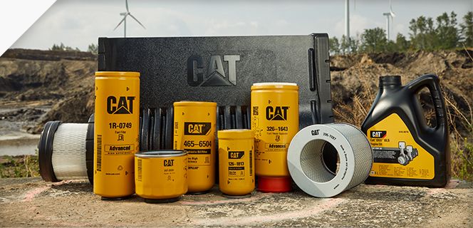 Cat filters and fluids