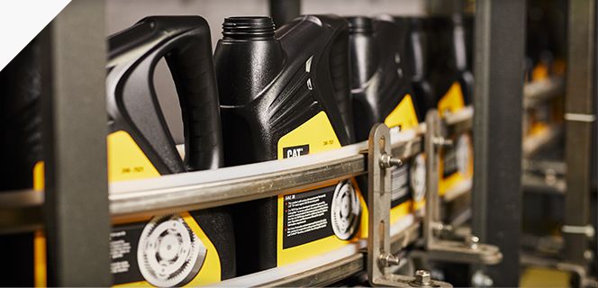 Cat fluids on conveyor belt