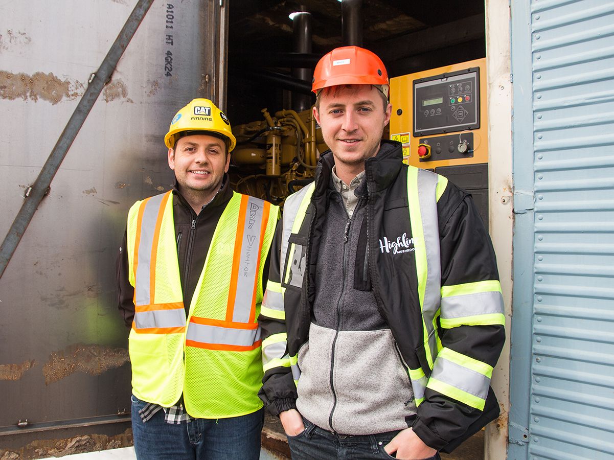 highline mushrooms 3