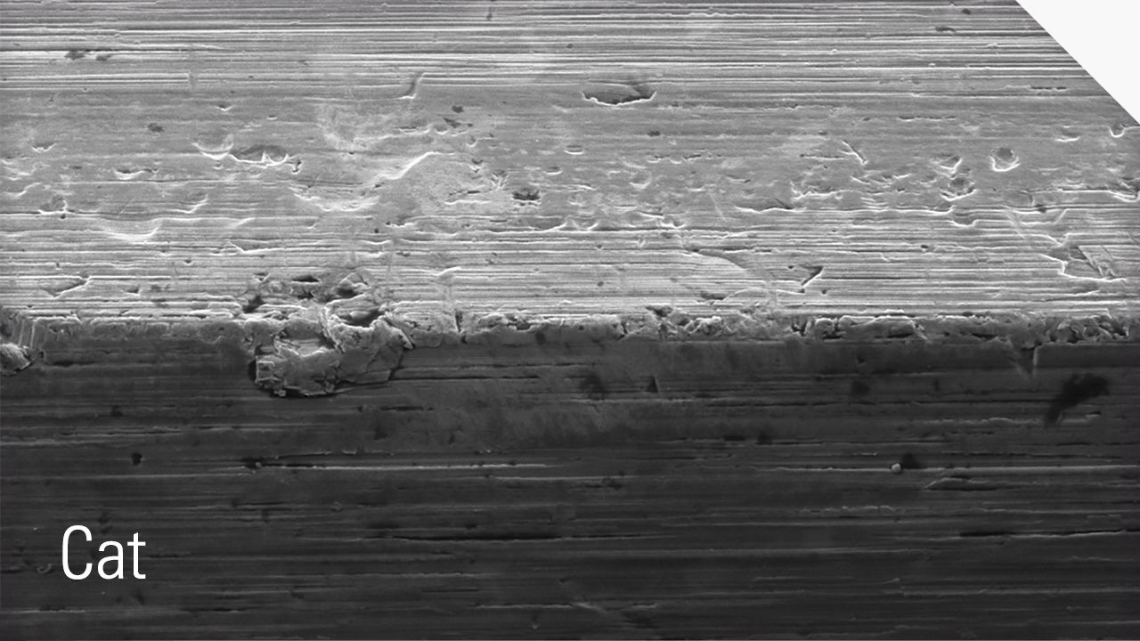 Injector Valve Damage Comparison - Cat