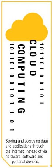 Infographic Section 7