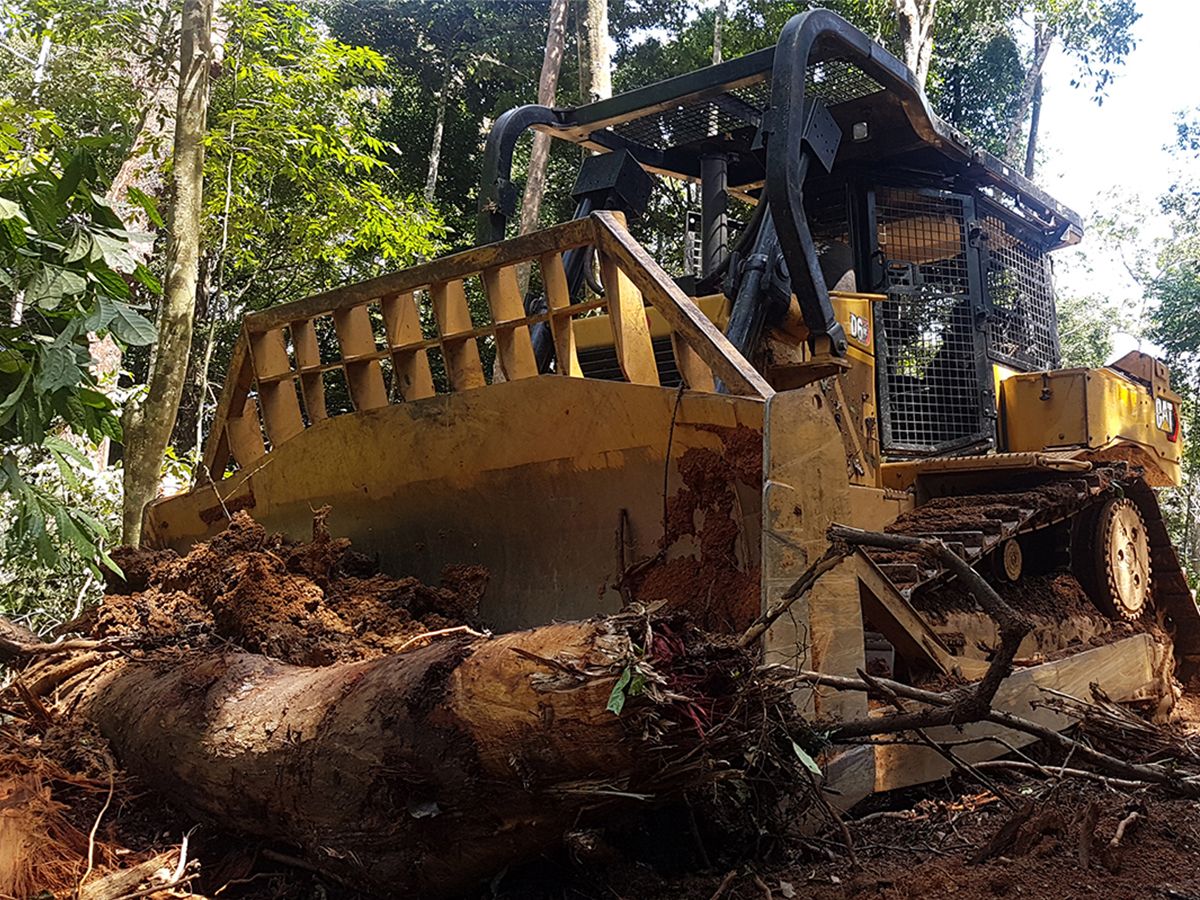 Forestry/Land Clearing Power