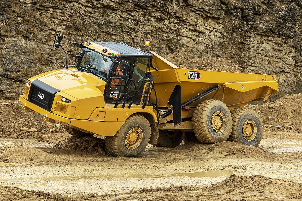 Cat Detect 및 Stability Assist