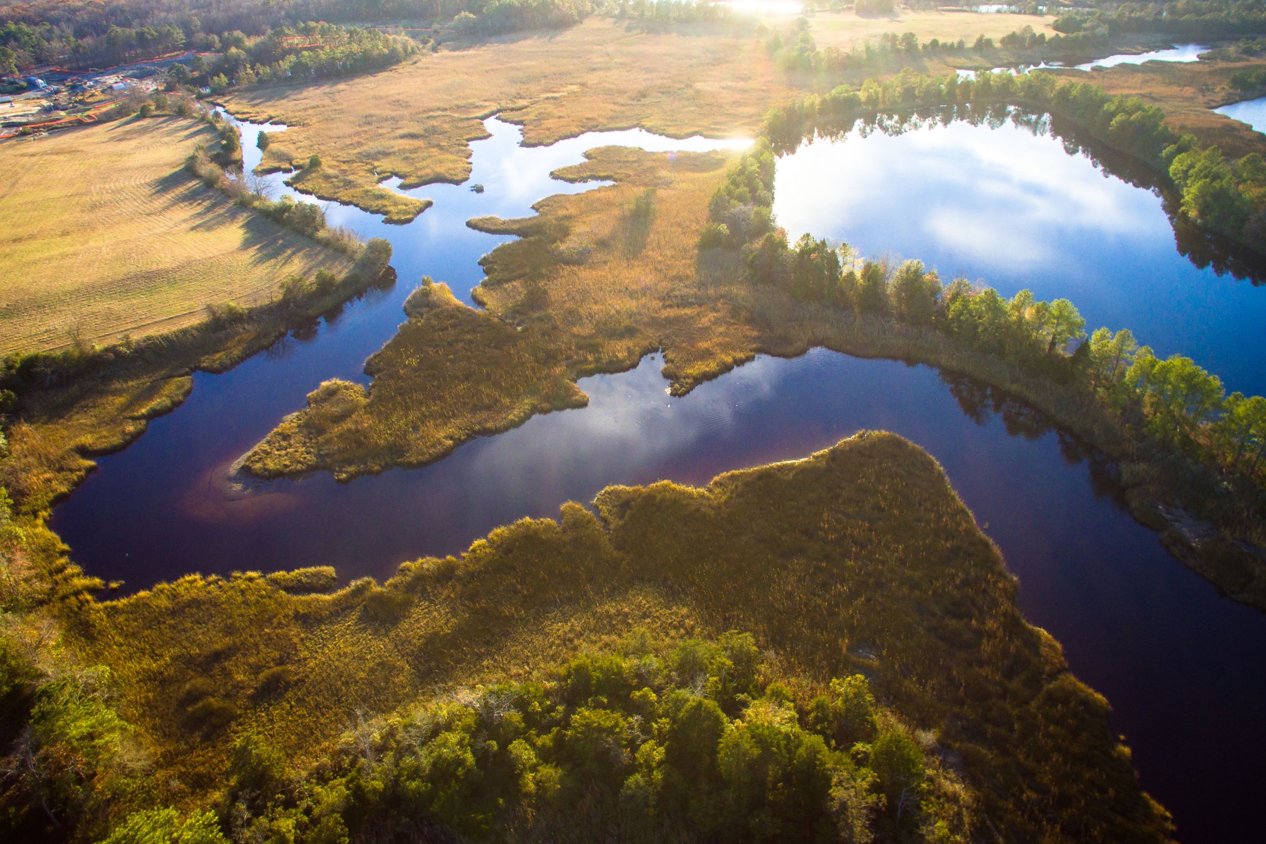Aerial picture of trees and streams