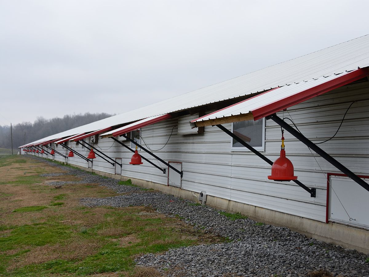 Solar Power Systems | Commercial Solar Panels | Cat | Caterpillar
