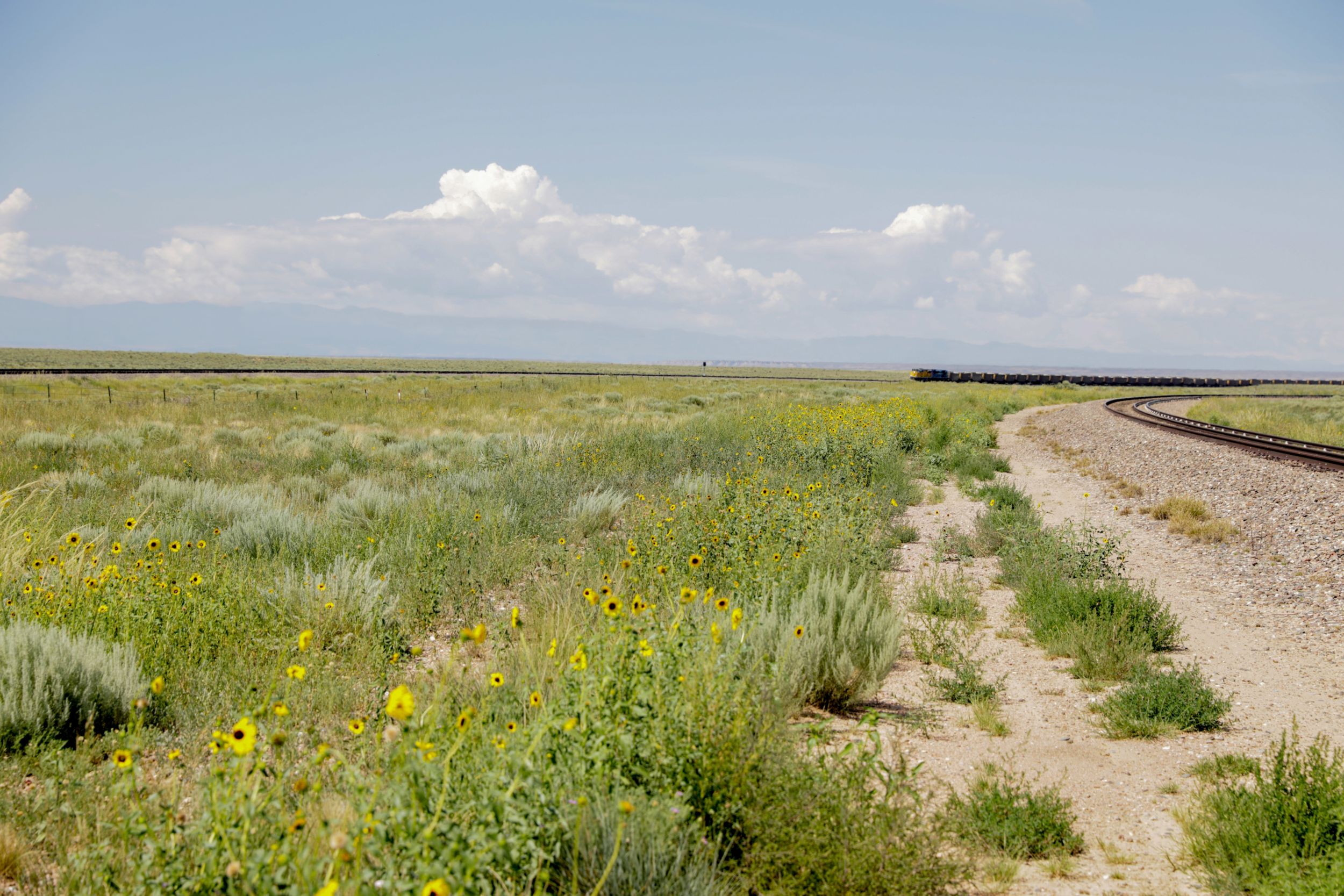 Locomotive Remaufacturing