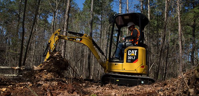 Miniexcavator working in forrest