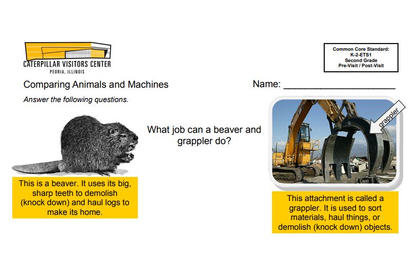 STEM skills worksheet with animal and equipment