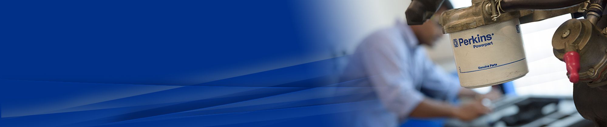 Fill in alt text for SEO and Accessibility Requirements