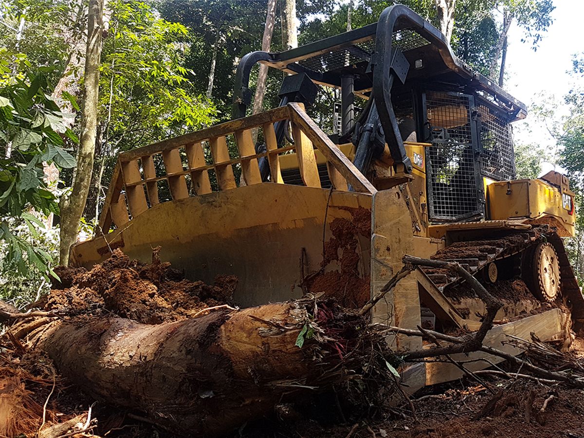Le tracteur pour exploitation forestière D6 GC Cat excelle dans les opérations de défrichement