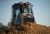 Cat® D1 Small Dozer