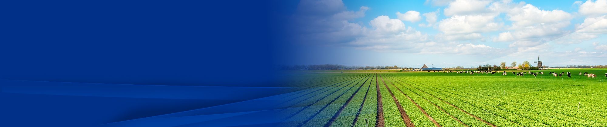 Fill in alt text for SEO and Accessibility Requirements