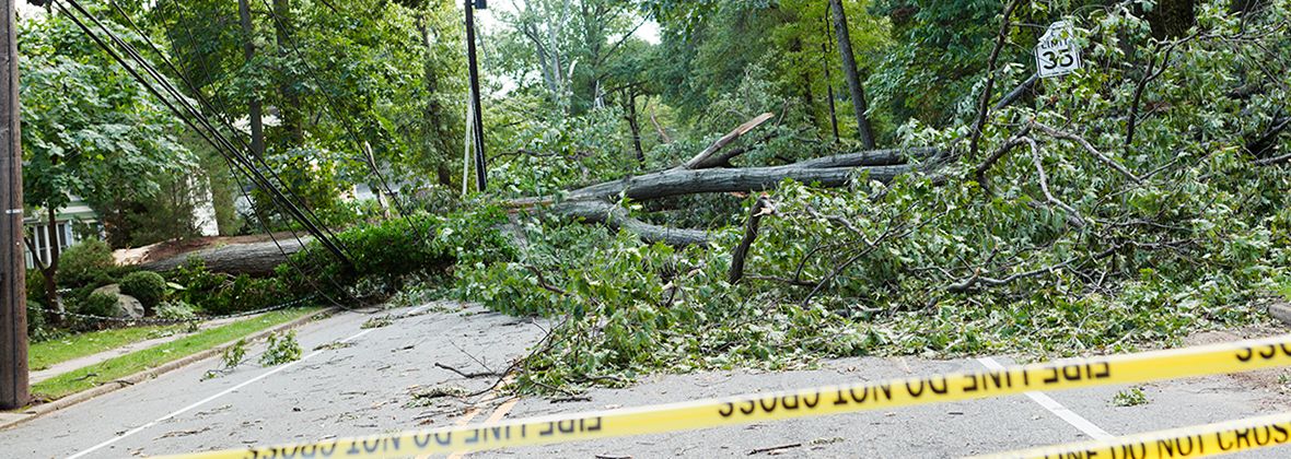 Disaster Preparedness