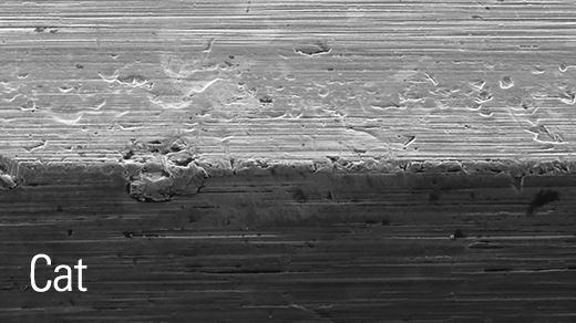 Injector Valve Damage Comparison - Cat