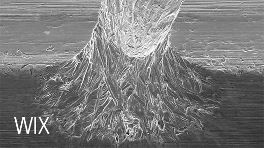 Injector Valve Damage Comparison - WIX