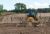 815 Soil Compactor