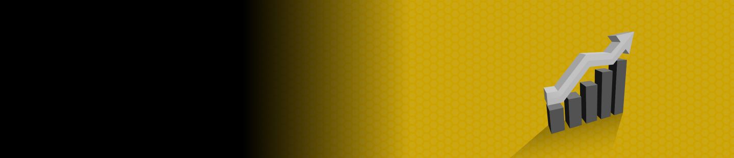 Cultural Maturity Model