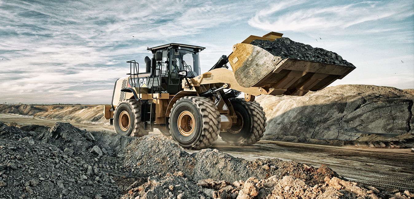 Cat Detect Technology