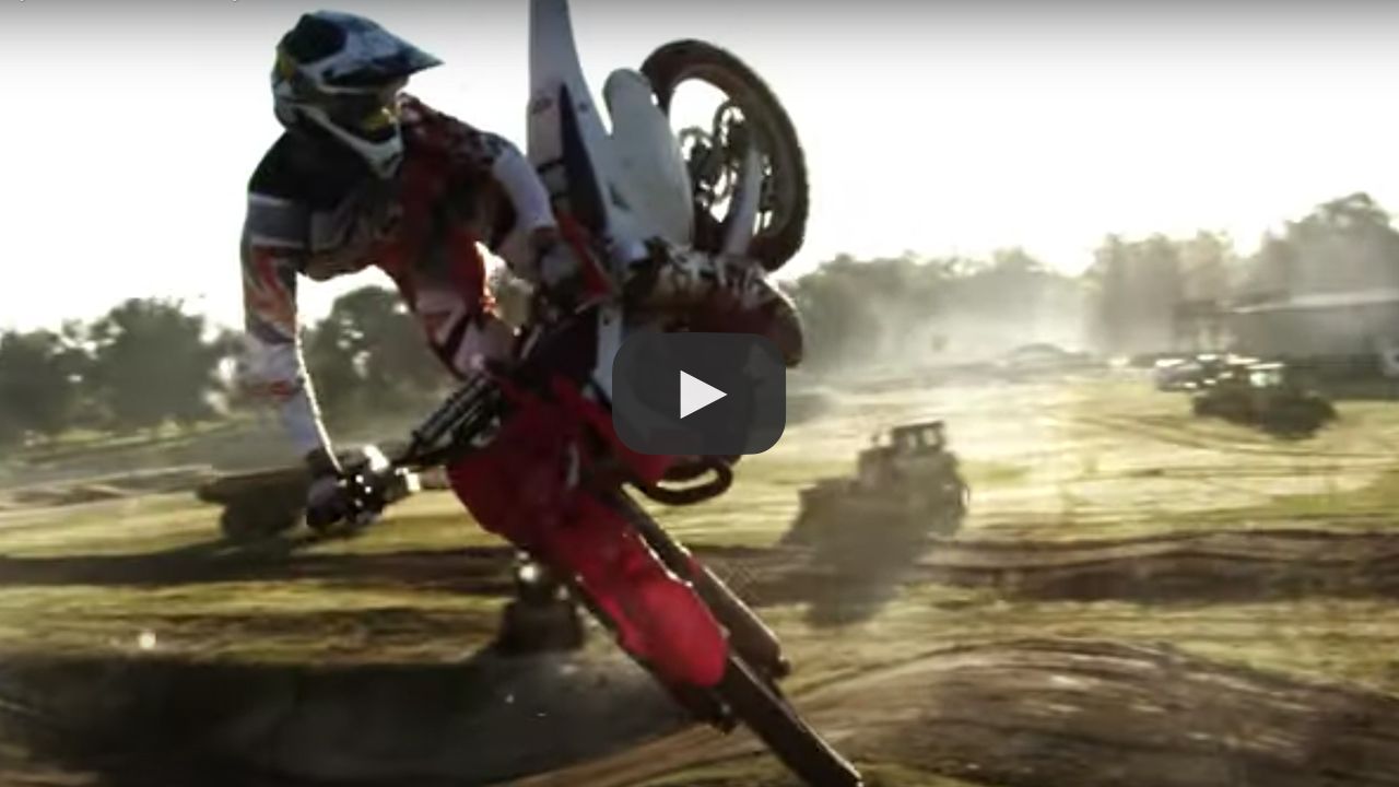 Dream Traxx and Cat Rental