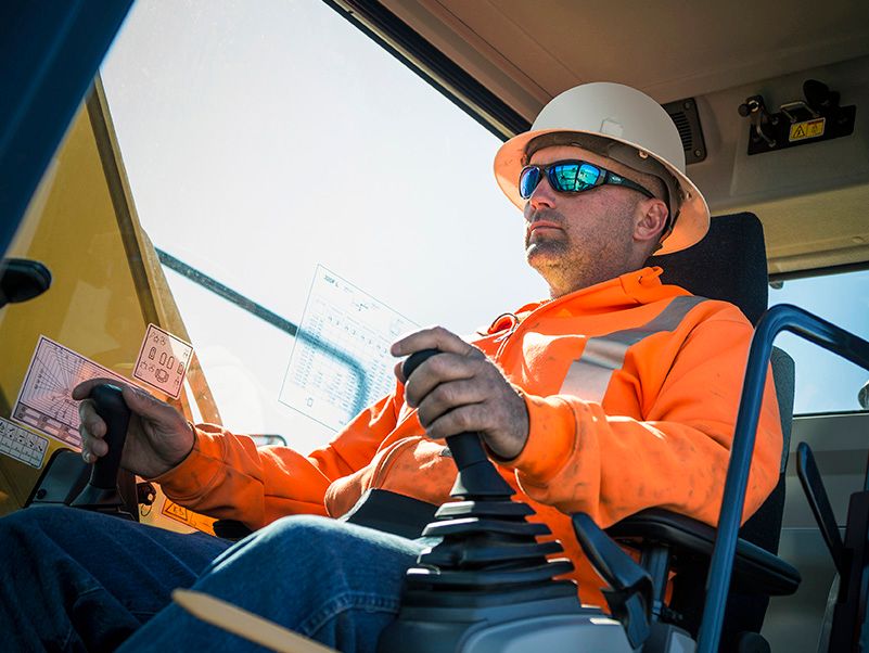 Cat Detect — Driver Safety System