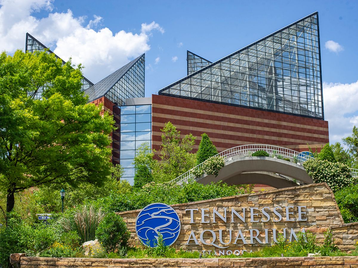 Acuario de Tennessee