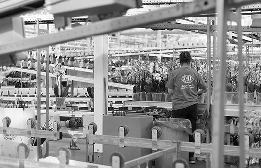 Expanding Small Business