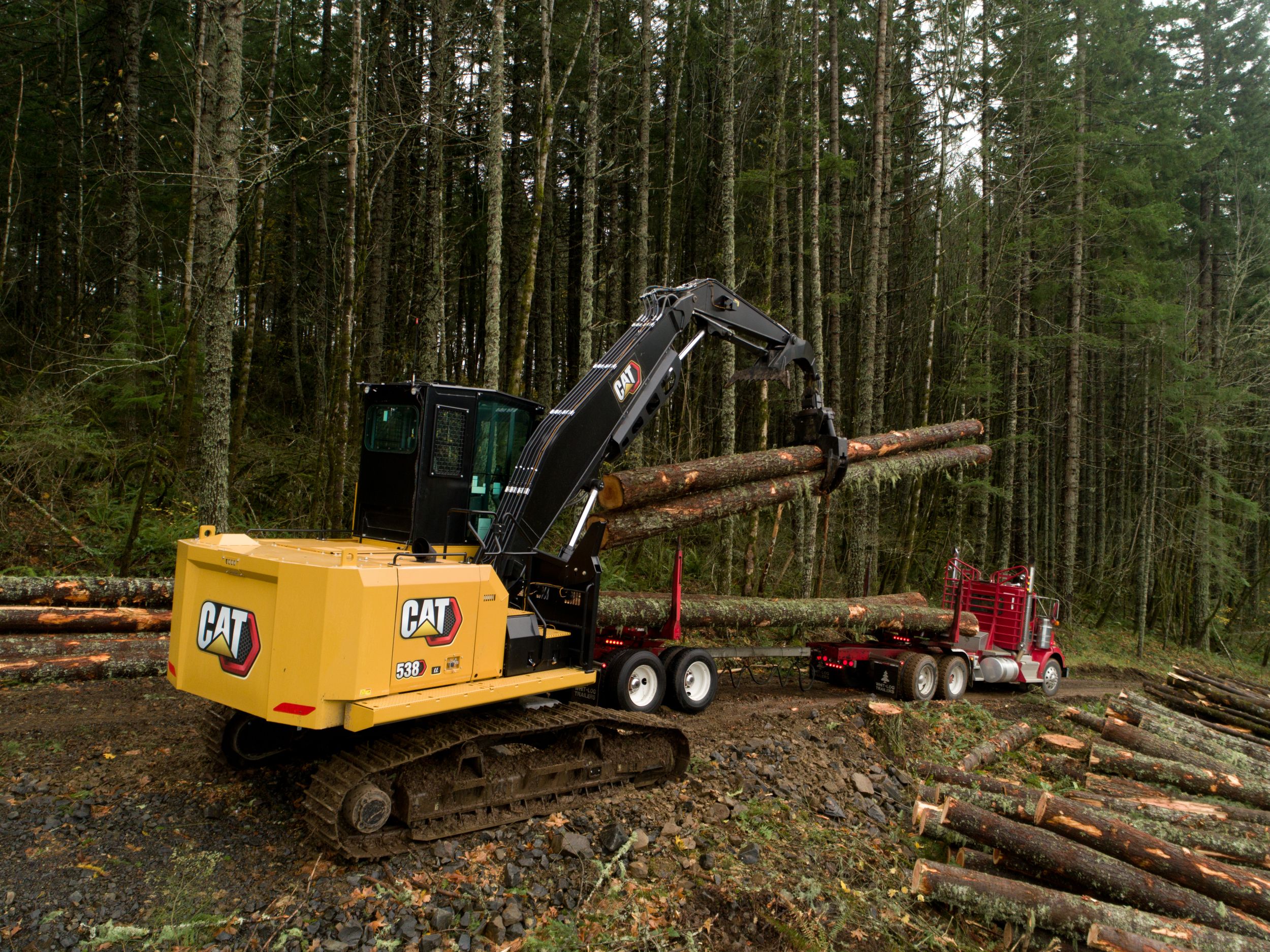 With 10% increased swing torque, the Cat FM538 can move timber quickly.