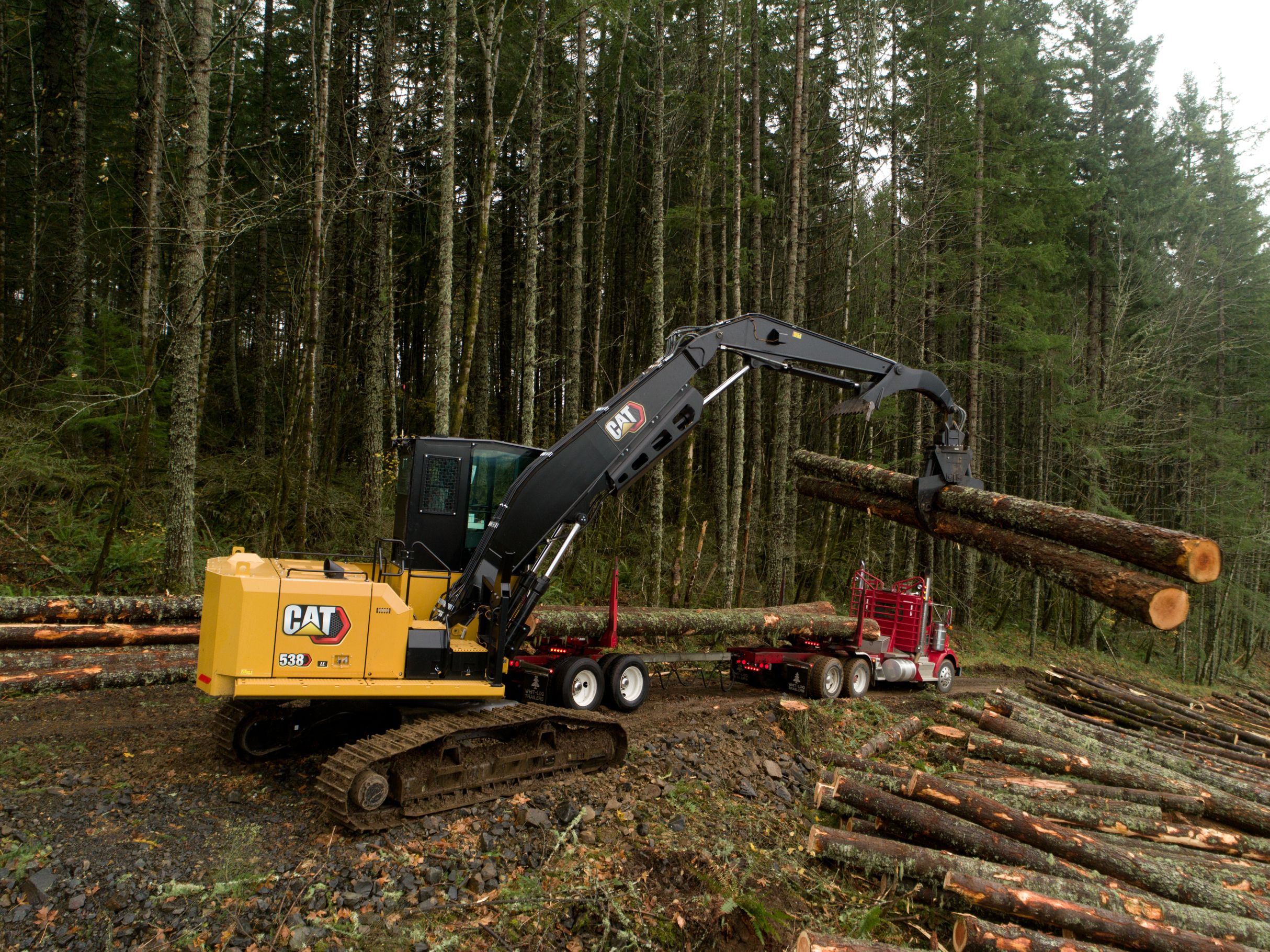 Choose Cat® Certified Used Forestry Equipment