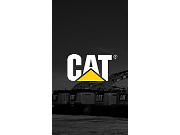 Caterpillar Wallpapers & Virtual Backgrounds | Cat | Caterpillar