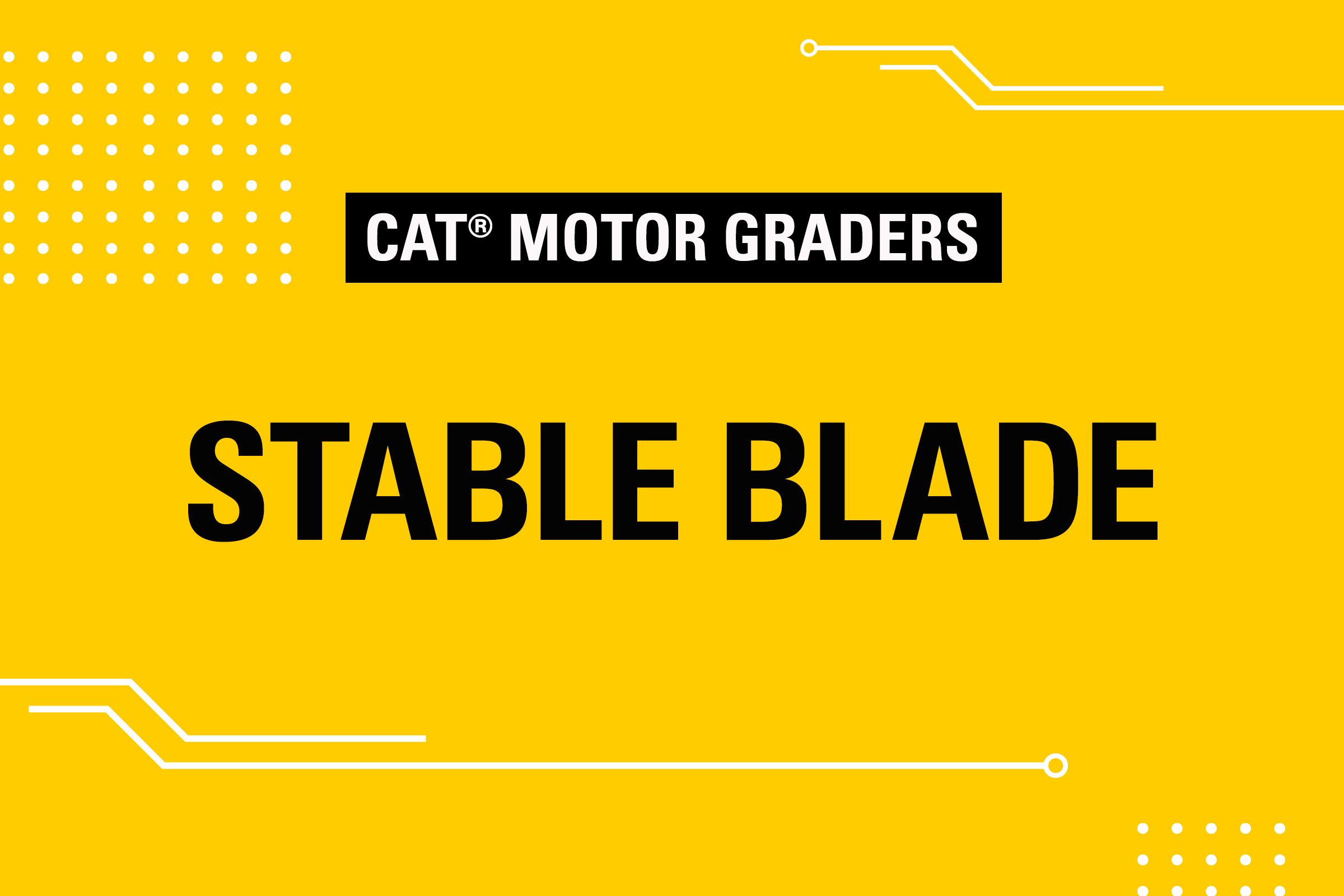 Stable Blade