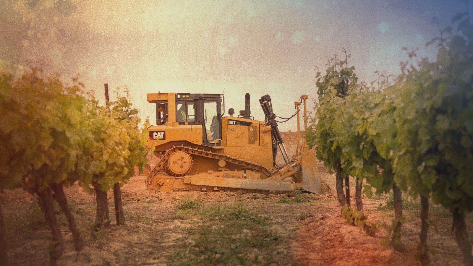 Customer Value Agreements (CVAs)