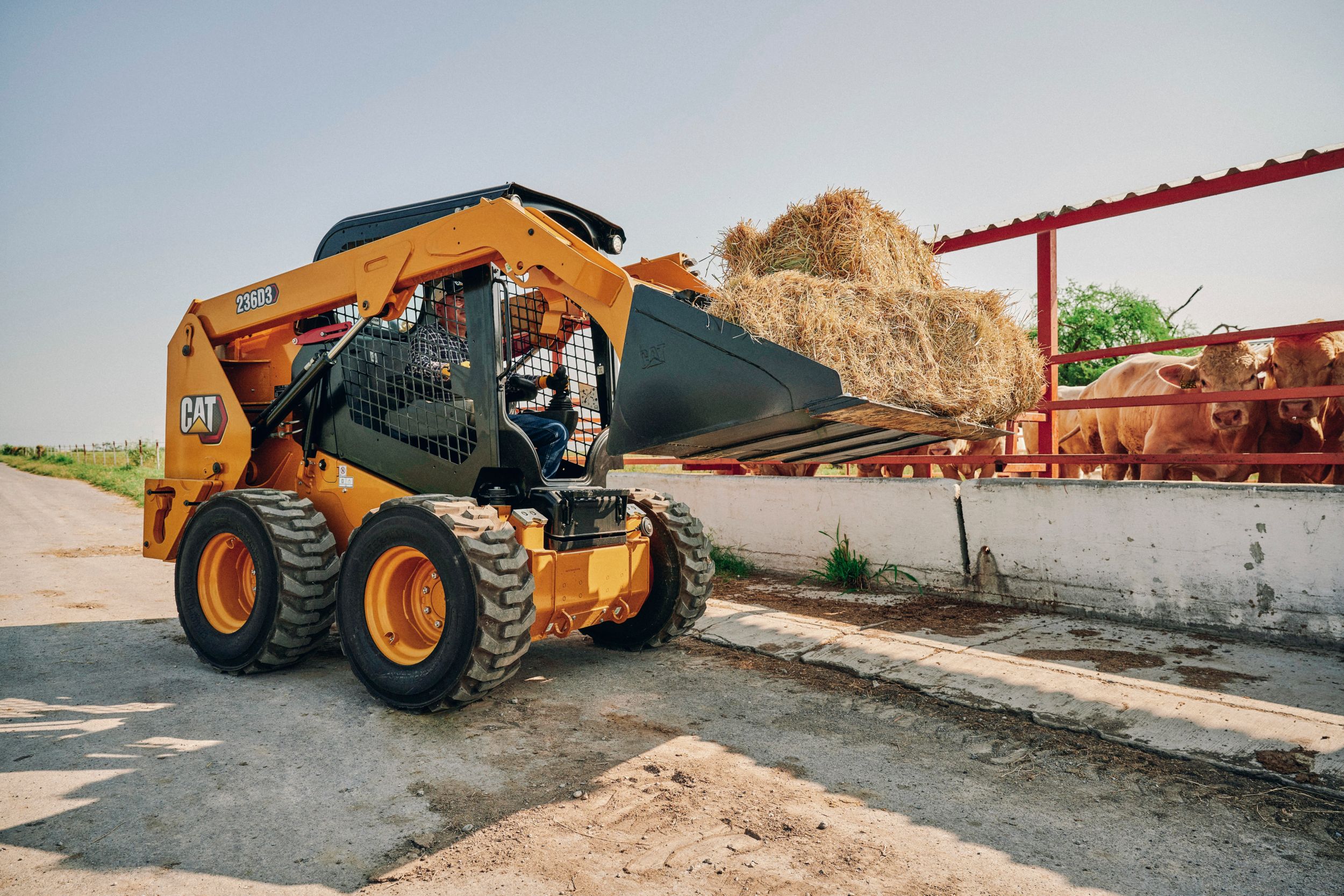 Cat® 236D3 Skid Steer Loader