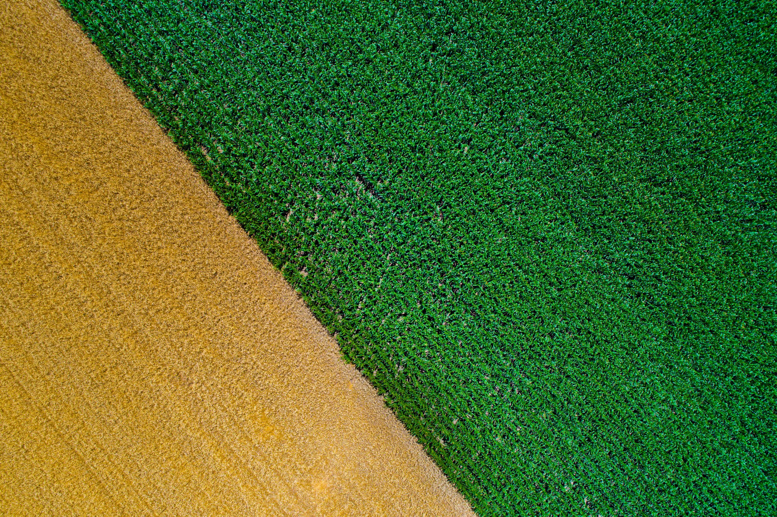 Sustainble farming and machinery