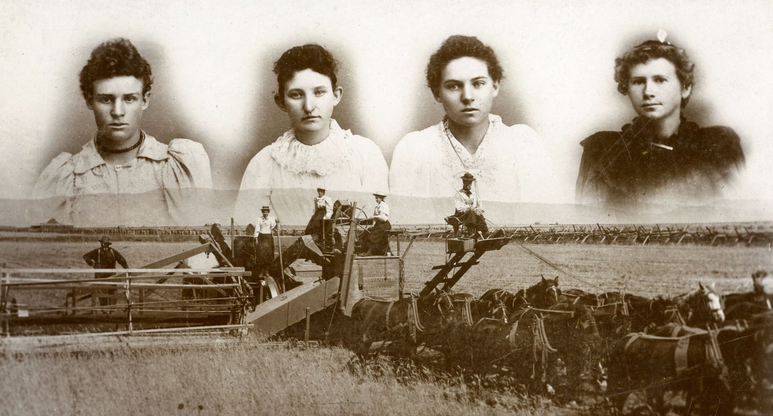 Four young girls dubbed, “Bloomer Girls,” are shown here operating a Holt combine in 1885.