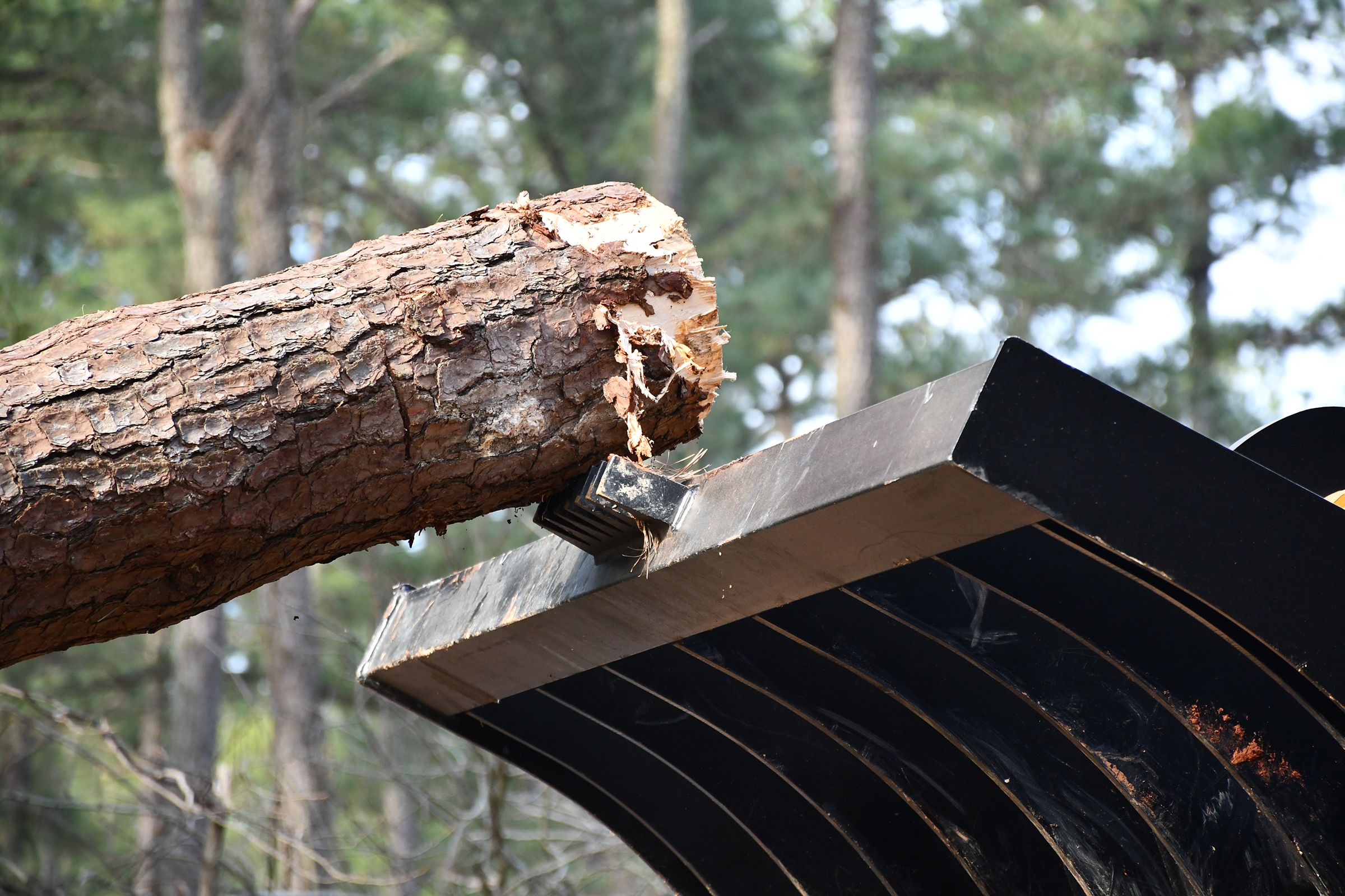 Plaque de poussée dentelée