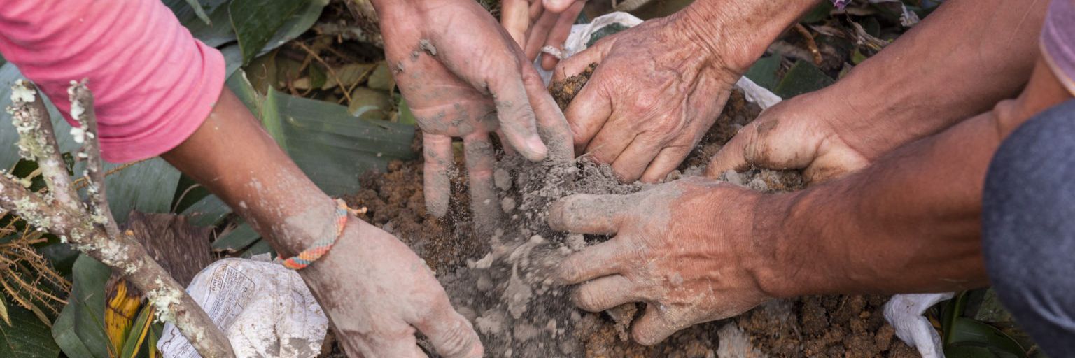 Hands digging in dirt