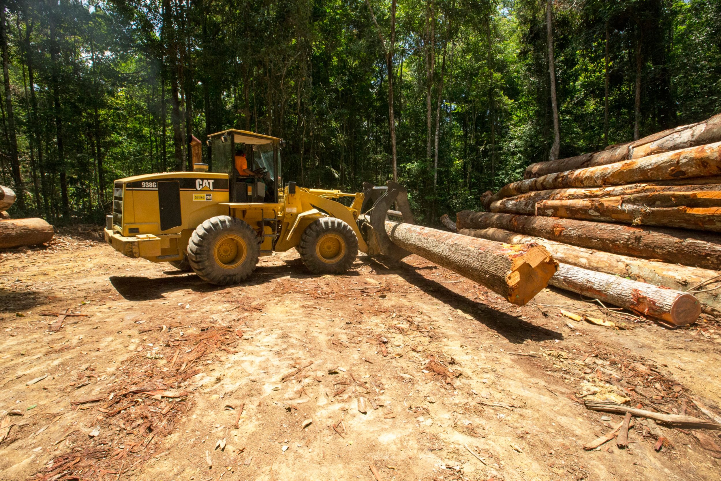 proteção estendida