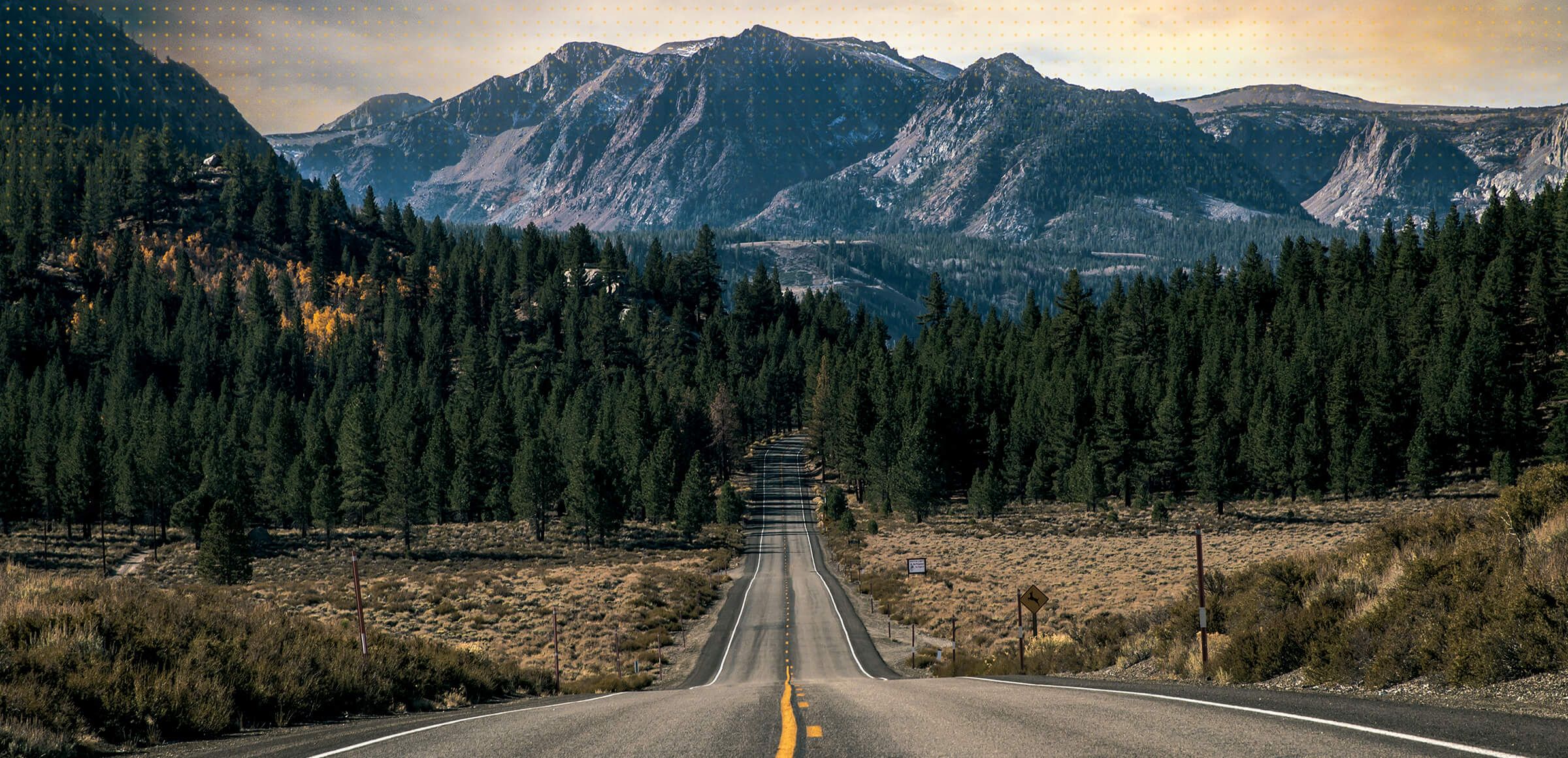 ВМЕСТЕ С САМОГО НАЧАЛА