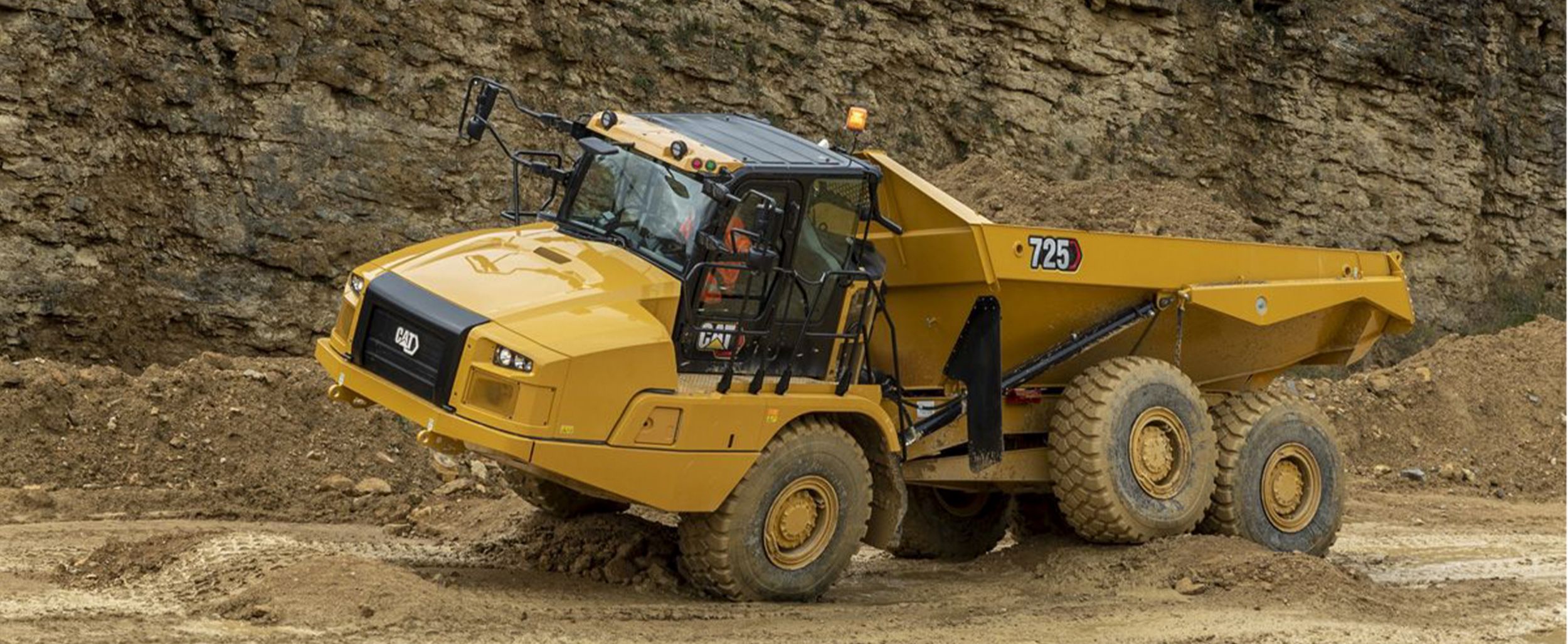 Cat Detect Technology