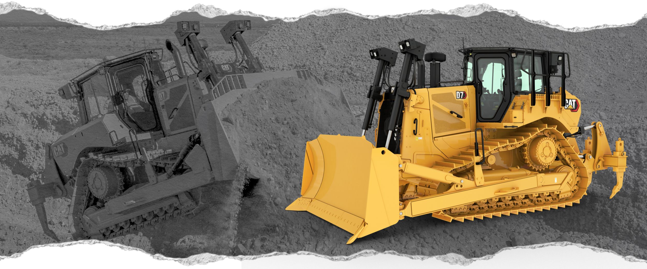 Cat Owner’s Club Medium Dozers